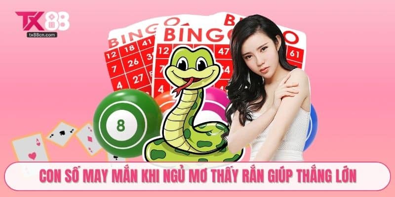 Con số may mắn khi ngủ mơ thấy rắn giúp thắng lớn