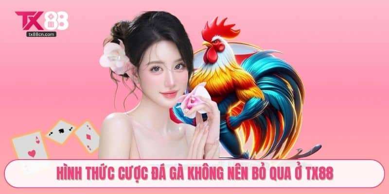 Hình thức cược đá gà không nên bỏ qua ở TX88