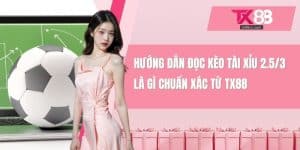 kèo tài xỉu 2.5/3 là gì