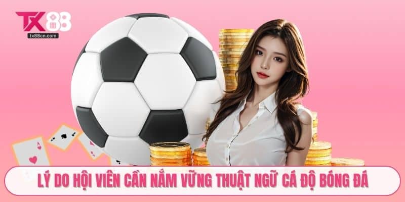 Lý do hội viên cần nắm vững thuật ngữ cá độ bóng đá