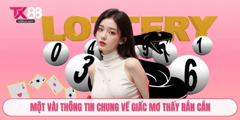 Một vài thông tin chung về giấc mơ thấy rắn cắn